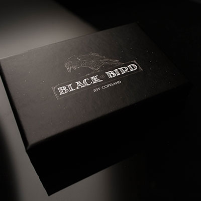 Blackbird by Jeff Copeland
