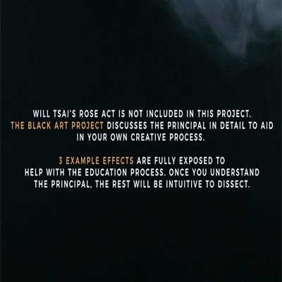 Black Art Project (2 DVD Set)